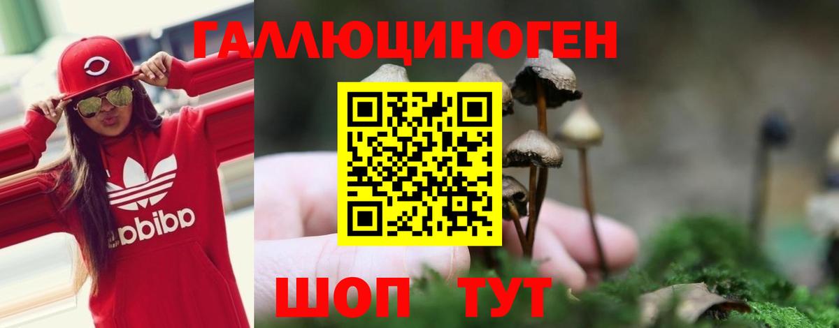 Псилоцибиновые грибы Cubensis Переславль-Залесский